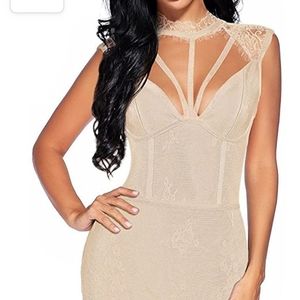 Nude Soft Pink Bodycon Sexy Lace Choker Dress